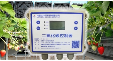 中國北方CO?新技術，將促進農作物光合作用和光合產物的生成