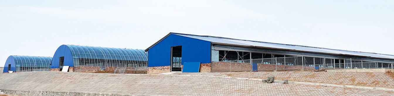 黃花灘村肉羊育繁推一體化養殖項目_08.jpg 黃花灘村肉羊育繁推一體化養殖項目_08.jpg