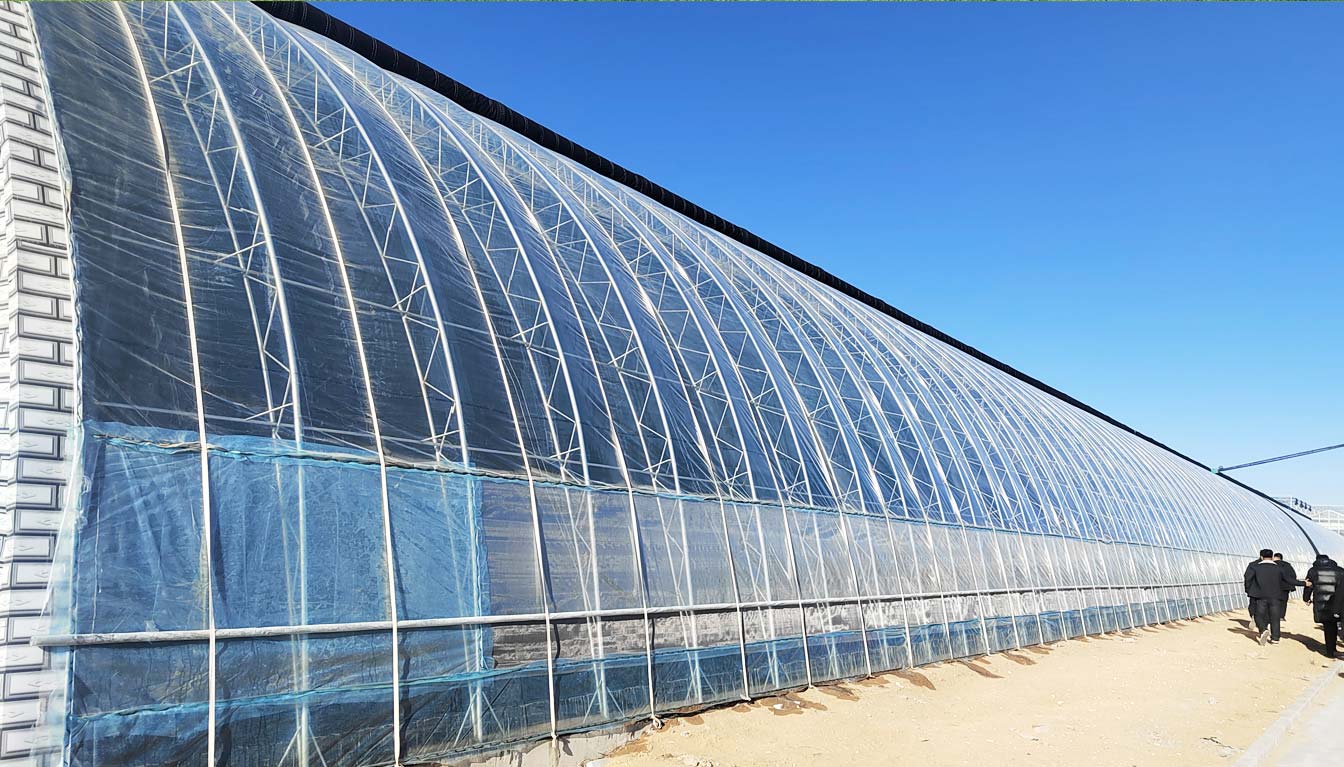 大路鎮苗家灘社區項目-智能溫室、日光溫室建設項目_08.jpg