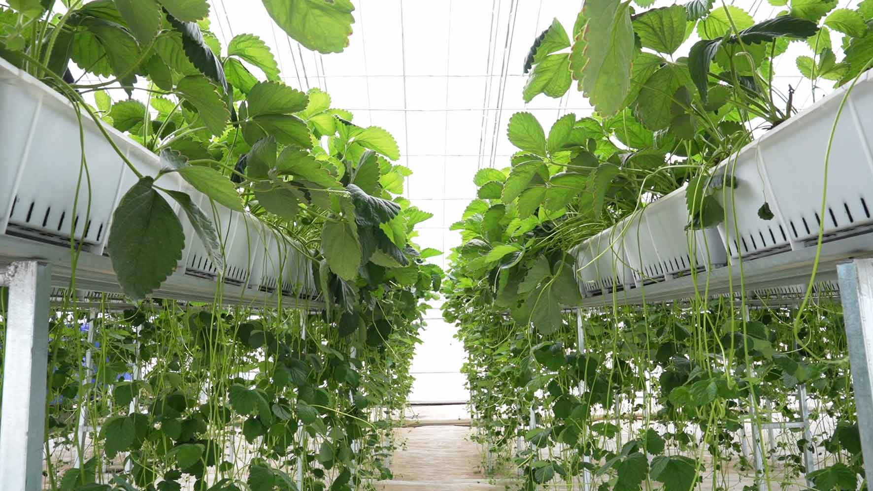 12月16日(6)切.jpg 12月16日(6)切.jpg